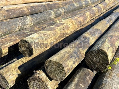 PUNTALS DE FUSTA 322